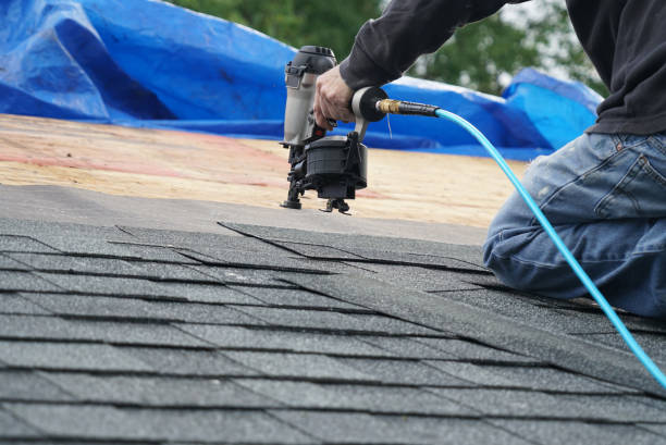 Best Storm Damage Roof Repair  in West Jefferson, OH