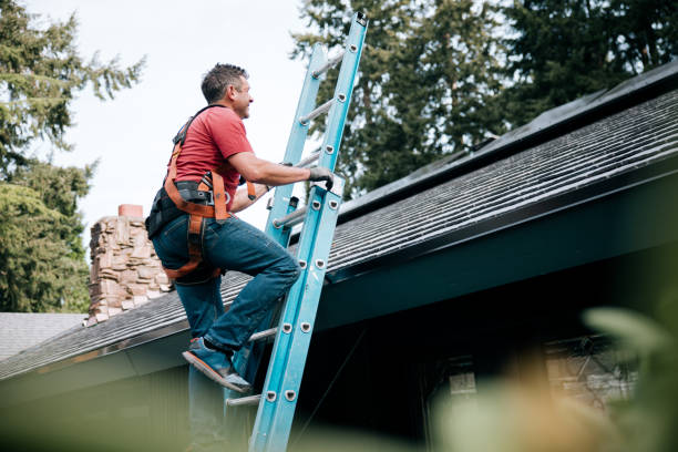 Best Solar Panel Roofing Installation  in West Jefferson, OH